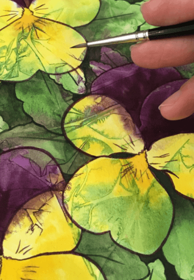 Pansies in Watercolour: Botanical Illustration Workshop