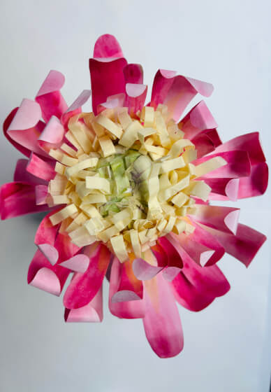 Paper Flower Crafting Workshop