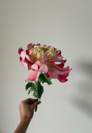 Paper Flower Crafting Workshop