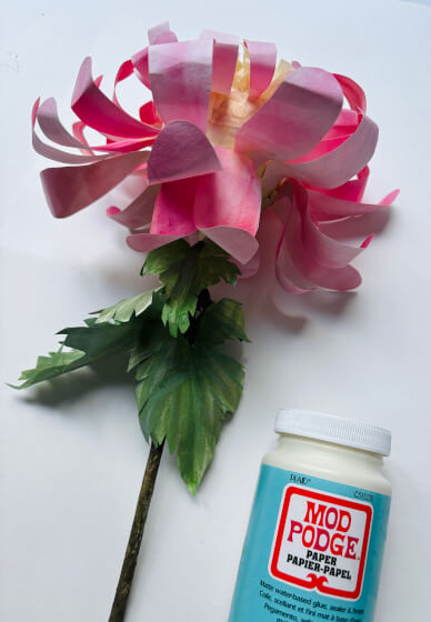 Paper Flower Crafting Workshop