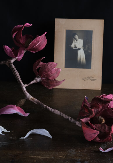 Paper Magnolia Workshop