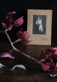 Paper Magnolia Workshop