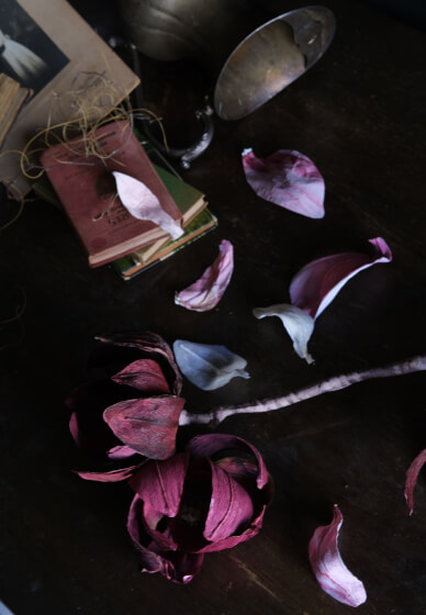Paper Magnolia Workshop