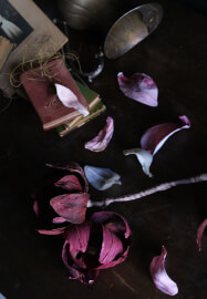 Paper Magnolia Workshop
