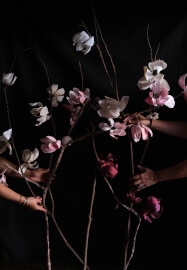 Paper Magnolia Workshop