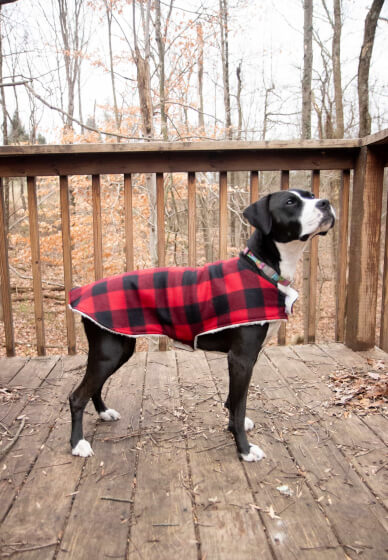 Parent Child Sewing Workshop: Perfect Pooches Coat