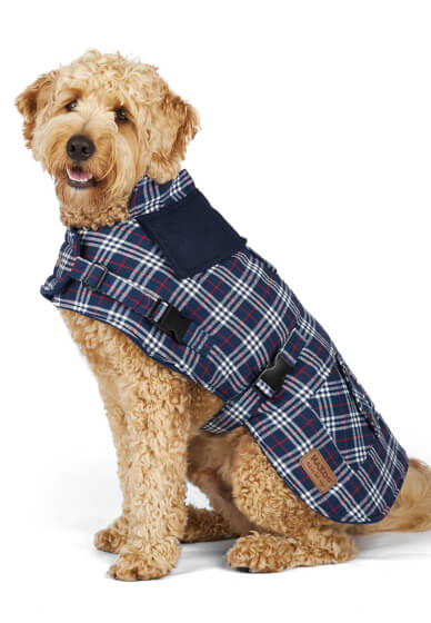 Parent Child Sewing Workshop: Perfect Pooches Coat