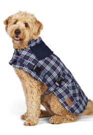 Parent Child Sewing Workshop: Perfect Pooches Coat