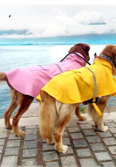 Parent Child Sewing Workshop: Perfect Pooches Coat