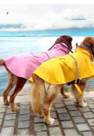 Parent Child Sewing Workshop: Perfect Pooches Coat