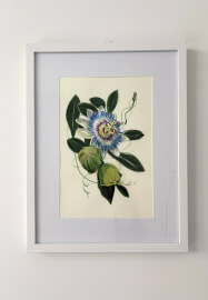Passion Flower Watercolour Painting Class