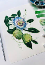 Passion Flower Watercolour Painting Class