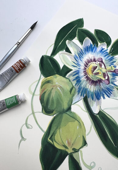 Passion Flower Watercolour Painting Class