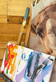 Pat, Paint and Sip Class