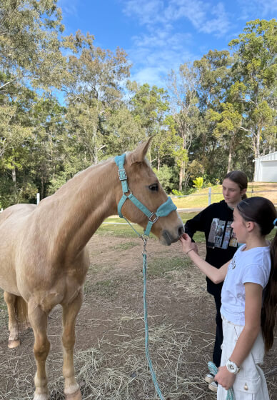 Pats, Pottery and Paint Workshop for Kids