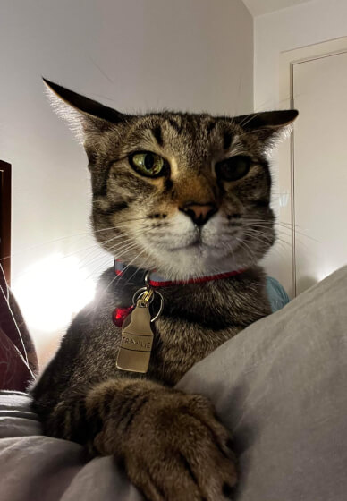 Pendant Workshop: Custom Tags for You and Your Pet