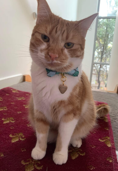 Pendant Workshop: Custom Tags for You and Your Pet