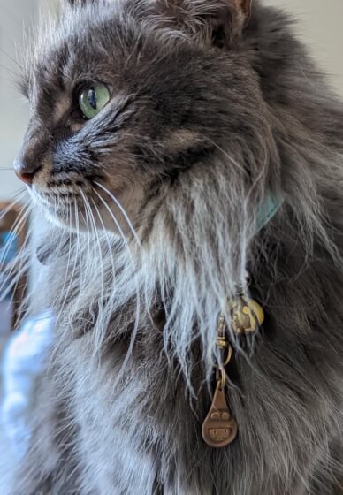 Pendant Workshop: Custom Tags for You and Your Pet