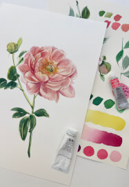 Peony Watercolour Painting Class
