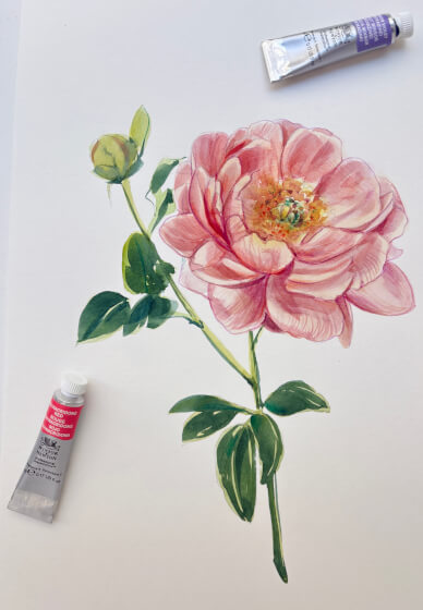 Peony Watercolour Painting Class