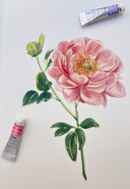 Peony Watercolour Painting Class