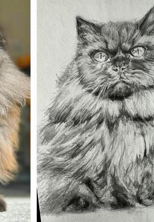 Pet Portrait Workshop