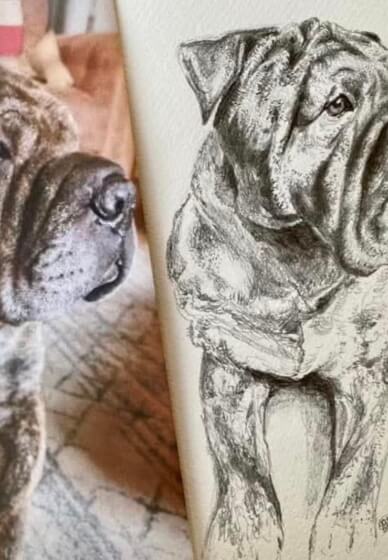 Pet Portrait Workshop