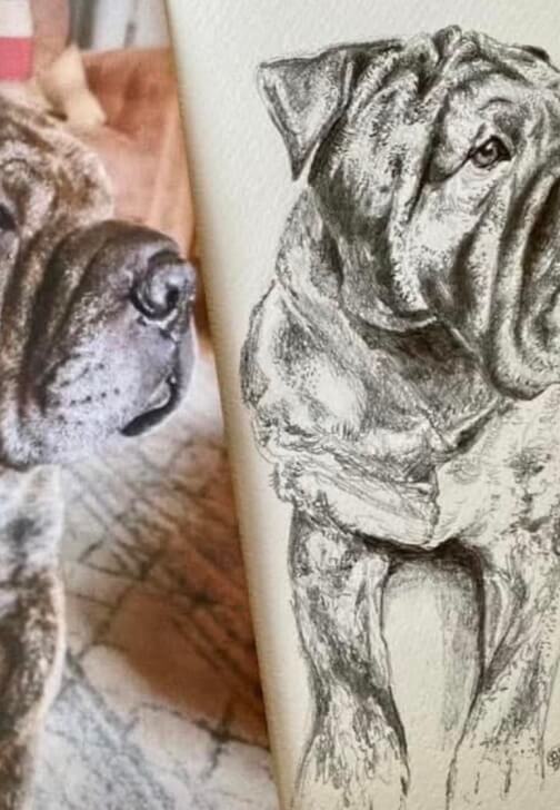 Pet Portrait Workshop