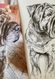 Pet Portrait Workshop