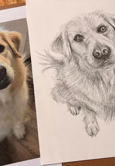 Pet Portrait Workshop