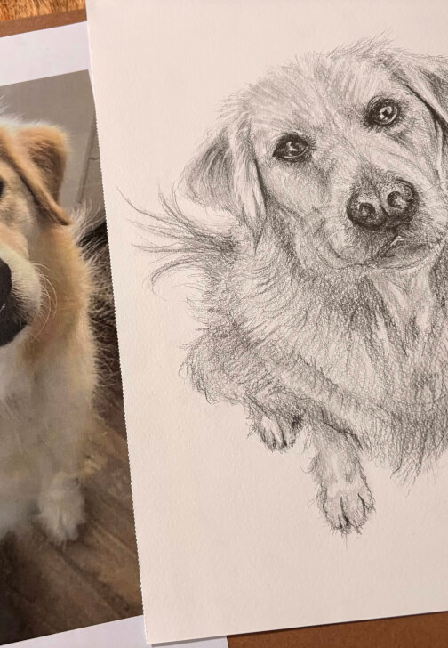 Pet Portrait Workshop
