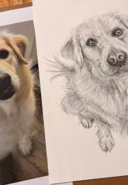 Pet Portrait Workshop