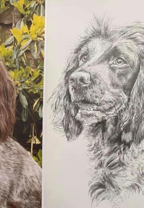Pet Portrait Workshop