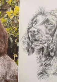 Pet Portrait Workshop