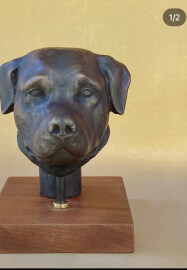 Pet Sculpture Portrait in Clay Workshop