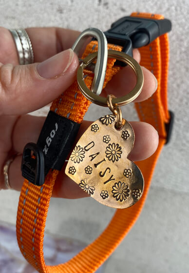 Pet Tag Making Workshop