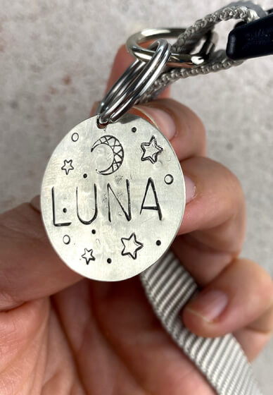 Pet Tag Making Workshop
