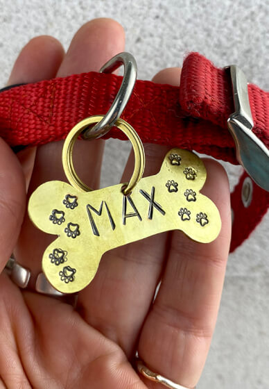 Pet Tag Making Workshop
