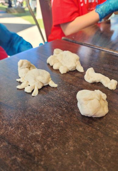 Pizza Making Kids Workshop