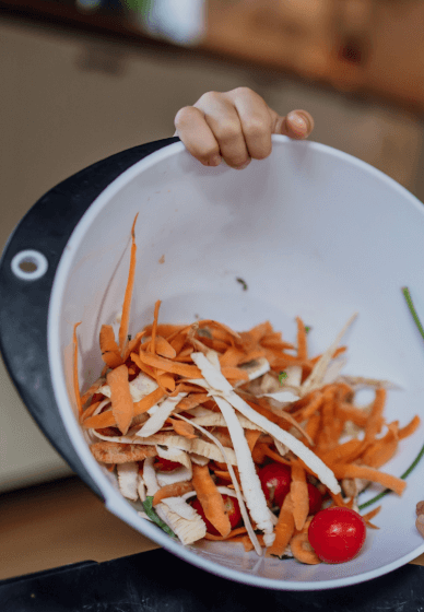 Visual Kitchen Garden Planning Workshop