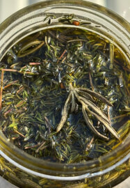 Planetary Herbs Workshop: Craft Your Own Astrological Ointment