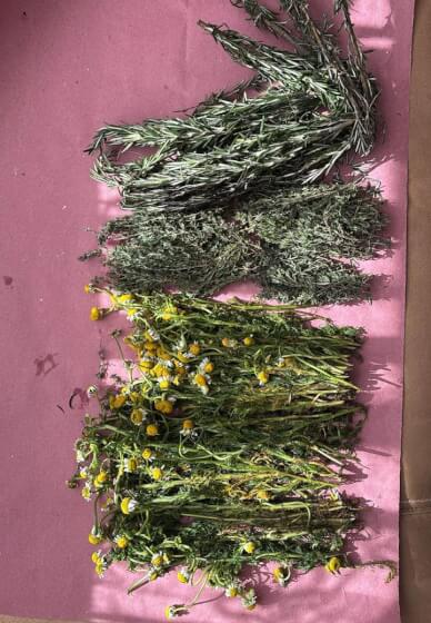 Planetary Herbs Workshop: Craft Your Own Astrological Ointment