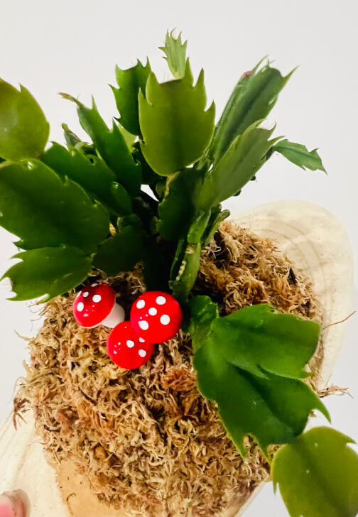 Plant Mounting Workshop
