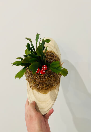 Plant Mounting Workshop