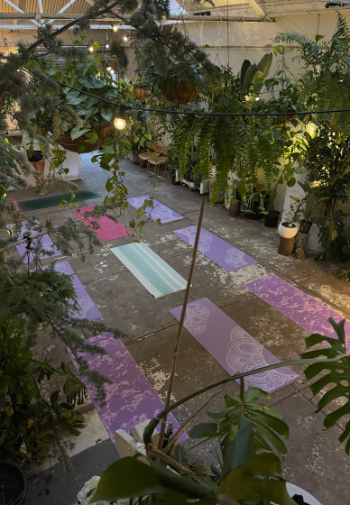 Plant Yoga Session and Kokedama Workshop