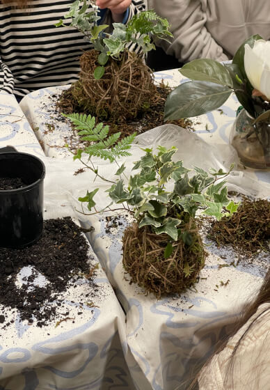 Plant Yoga Session and Kokedama Workshop