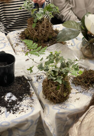Plant Yoga Session and Kokedama Workshop