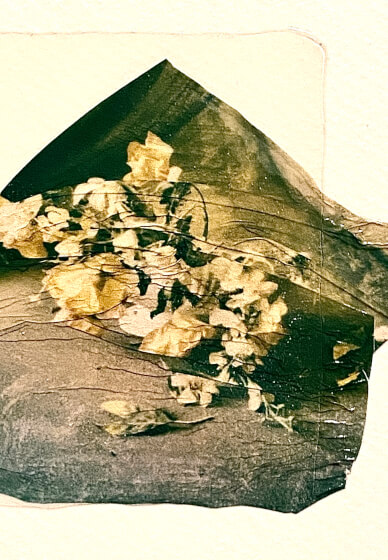 Polaroid Photo Emulsion Lift Workshop (ages 15-100yrs)