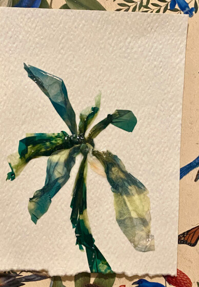 Polaroid Photo Emulsion Lift Workshop (ages 15-100yrs)