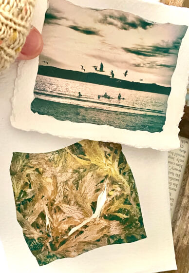 Polaroid Photo Emulsion Lift Workshop (ages 15-100yrs)